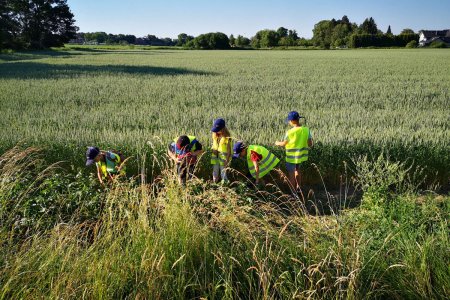 Ähren werden genau betrachtet und erklärt.