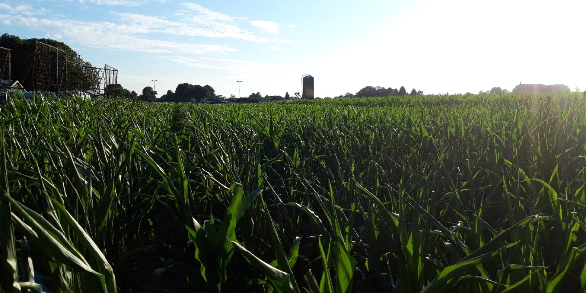 Körner Biogas - Ein Blick hinter die Kulissen
