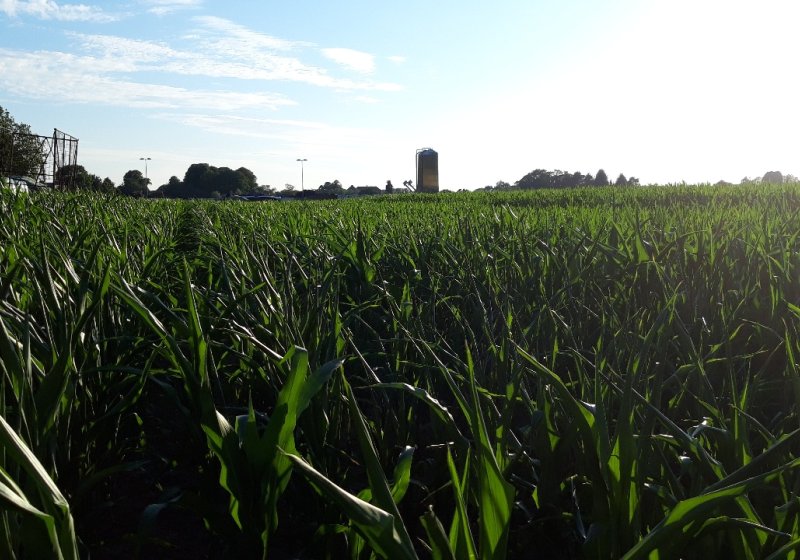 Körner Biogas - Ein Blick hinter die Kulissen